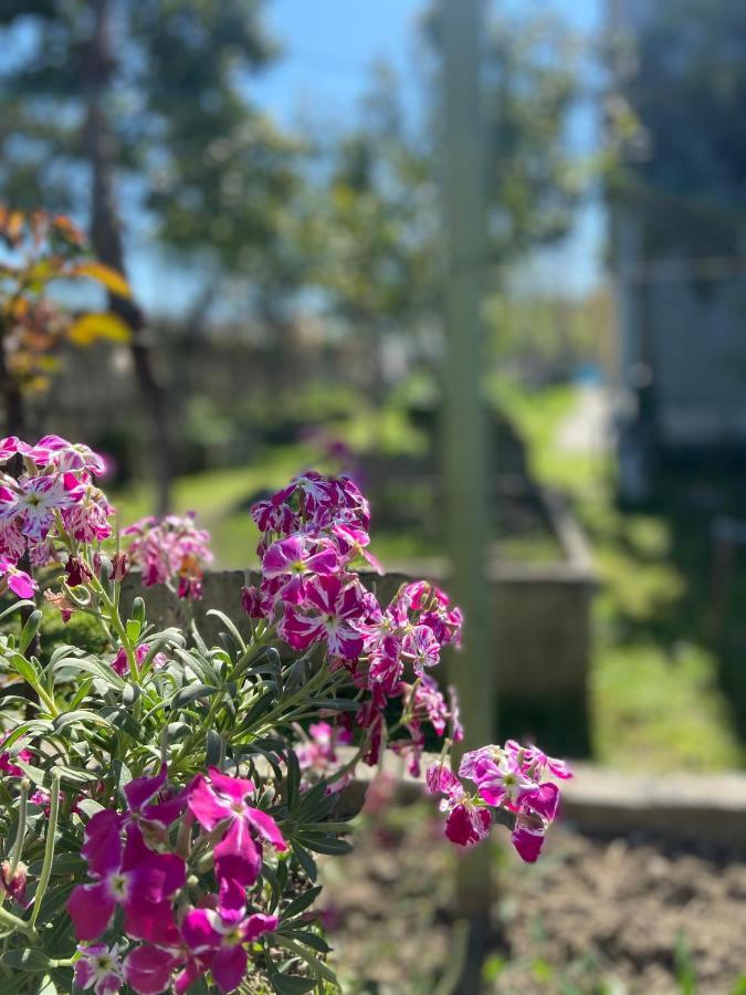 Villa Osmani Durrës 외부 사진