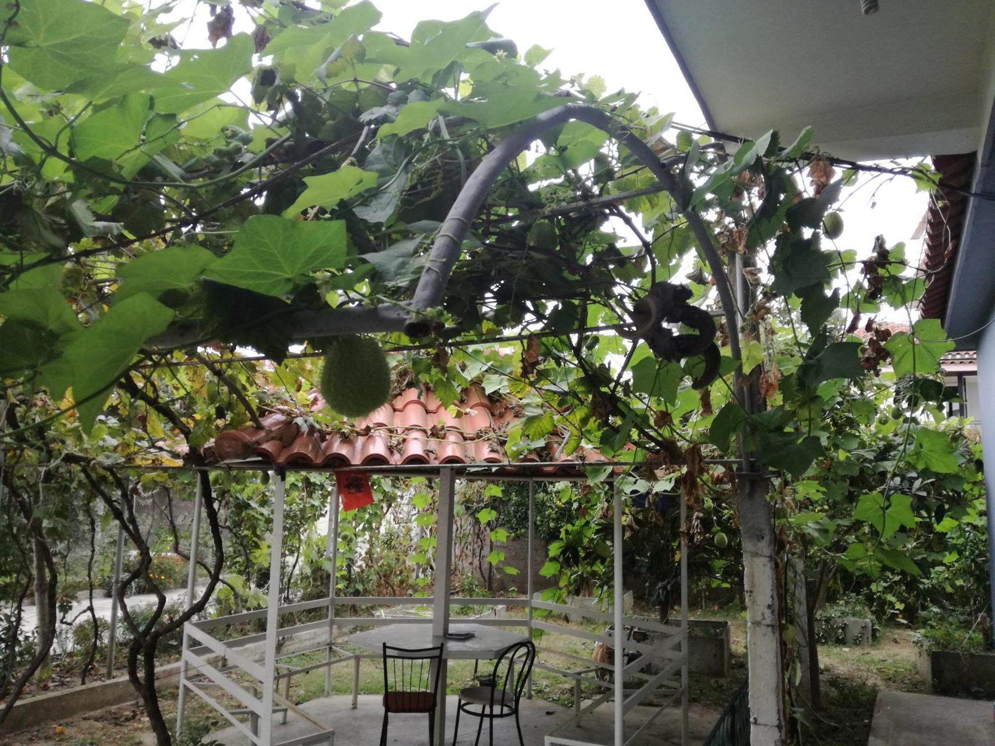 Villa Osmani Durrës 외부 사진