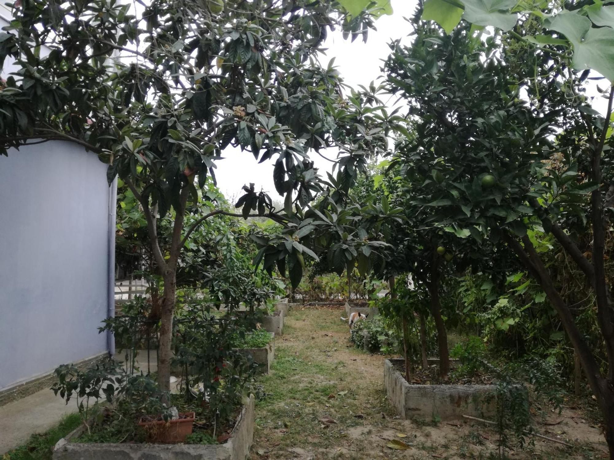 Villa Osmani Durrës 외부 사진